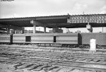 Great Northern Baggage 264